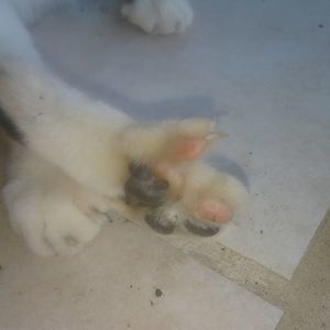 Meet your Posher, Carissa